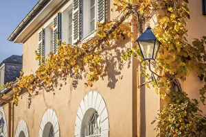 Deutsch Prints: Autumn mood at Johannisberg Castle, Rheingau, Hesse, Germany