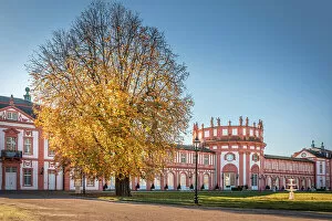 Images Dated 3rd November 2022: Autumn mood in the palace gardens of Schloss Biebrich, Wiesbaden, Hesse, Germany