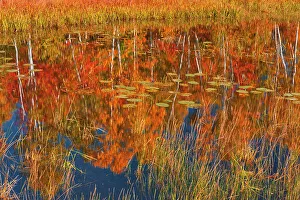 Central Canada Prints: Autumn on pond adjacent Lake Laurentian