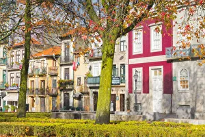 Port Wine Prints: Autumn in Porto. Oporto city, Porto district, Portugal, Europe