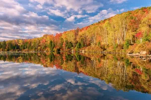 Autumn Leaf Prints: Autumn reflection in Kettle Pond at sunset, Groton State Forest, Vermont, USA