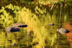 Autumn Leaf Prints: Autumn reflection in Saco River