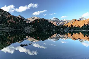 Maloja Region Prints: Autumn reflections at Lake Cavloc
