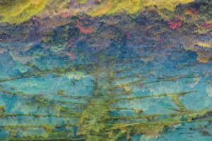 Sichuan Prints: Autumn reflections and lake, Jiuzhaigou National Park, Sichuan, China