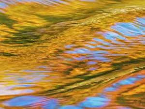 Muskoka Prints: Autumn Reflections, Muskoka, Ontario, Canada