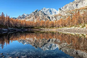 Larch Tree Prints: Autumn reflections on the Nero lake