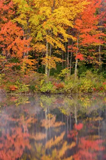 Placid Prints: Autumn reflections in Pequawket Pond, Conway, New Hampshire, USA