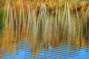 Fresh Water Prints: Autumn reflections in Ramsey Lake, Greater Sudbury, Ontario, Canada