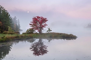 Lakeshores Prints: Autumn reflections and setting moon in St