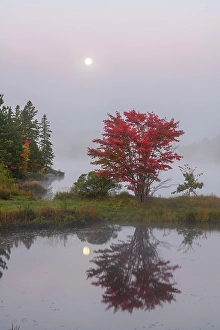 Lakeshores Prints: Autumn reflections and setting moon in St