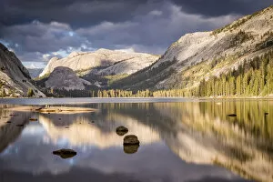 Images Dated 23rd February 2021: Autumn reflections on Tenaya Lake in Yosemite National Park, California, USA