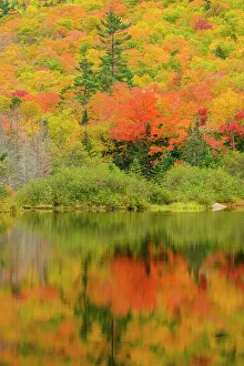 Fresh Water Prints: Autumn reflections in Willey Pond, Crawford Notch State Park, New Hampshire, USA