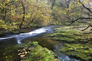 Autumn scenery by the Nedd Fechan River near Ystradfellte, Brecon Beacons National Park