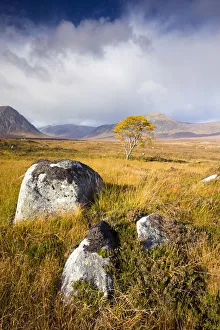 Autumn scenery on Rannoch Moor, Scottish Highlands, Scotland Autumn scenery on Rannoch Moor, Scottish Highlands, Scotland