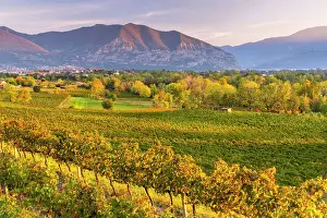 Prealpi Prints: Autumn season in Franciacorta, Brescia province in Lombardy district, Italy