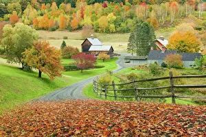 Michael Blanchette Prints: Autumn at Sleepy Hollow Farm, Green Mountains, Pomfret, Vermont, USA