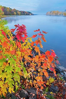 New Brunswick Prints: Autumn along the St, John River Fredericton, New Brunswick, Canada