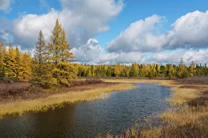 Streams Prints: Autumn Stream near White River, Ontario, Canada