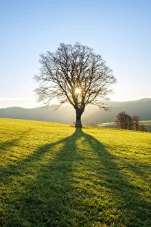 Autumn sunrise over a field in the village of Hofsgrund, Oberried, Baden-Worttemberg