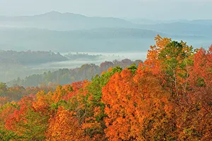 Tennessee Prints: Autumn trees and morning mists in the valley