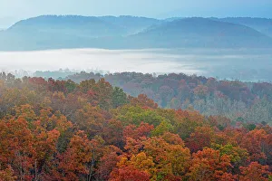 Woodlands Prints: Autumn trees and morning mists in the valley