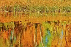 Prairie Province Prints: Autumn trees reflected in Lake Winnipeg Seymourville Manitoba, Canada
