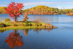 Autumn trees on the shore of St. Pothier Lake, Greater Sudbury, Ontario, Canada