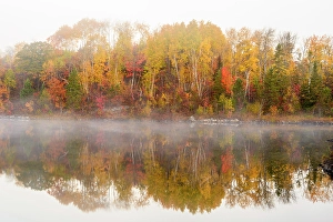 Autumn trees on the shore of St. Pothier Lake in fog, Greater Sudbury, Ontario, Canada