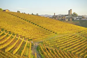 Harvest Prints: Autumn vineyards in Langhe, Piedmont, Italy