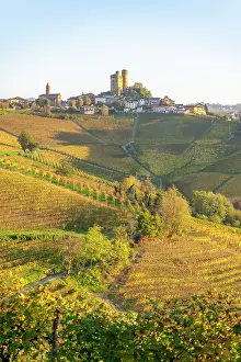 Langhe Prints: Autumn vineyards surround Castiglione Falletto