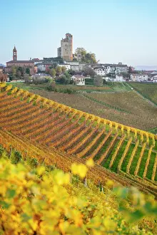 Wine Region Prints: Autumn vineyards surround Grinzane Cavour castle