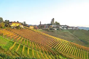 Piedmont Prints: Autumn vineyards surround Serralunga d'Alba