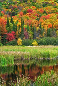 Open Water Prints: Autumn wetland near Dwight, Ontario, Canada