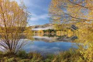 Banks Prints: Autumnal foliage on the banks of Wairepo Arm near Twizel