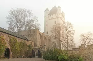 Romantic Gallery: Autumnal morning fog at Eltville Electoral Castle, Rheingau, Hesse, Germany