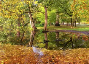 Leaf Prints: Autumnal reflections in Woodland Gardens of Bushy Park, London, England