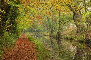 Powys Prints: Autumnal scenery on the Monmouthshire & Brecon Canal
