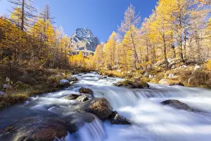 Piedmont Prints: Autumnal view of the foliage and colours around the river Cairasca with the Monte Leone
