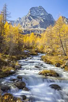 Autumnal view of the foliage and colours around the river Cairasca with the Monte Leone