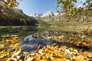 an autumnal view of the Tovel Lake (Lago di Tovel) with the Brenta Group in the background