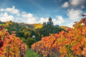 Sehenswurdigkeit Prints: Autumnal vines with Reichsburg Cochem in the background