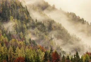 Kranjska Gora Prints: Autumnal woodland and mist, Lake Jasna, near Kranjska Gora, Slovenia