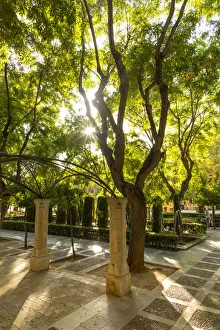 Images Dated 6th October 2017: Av. d Antoni Maura, Palma, Mallorca (Majorca), Balearic Islands, Spain