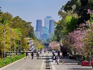 Chapultepec Prints: Avenida de los Compositores, Bosque de Chapultepec Park, Mexico City, Mexico