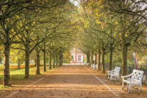 Avenue Gallery: Avenue in autumn at Biebrich Castle, Wiesbaden, Hesse, Germany