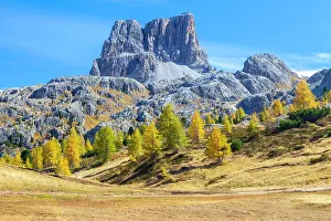 Larix Prints: Averau peak from the Passo Falzarego in autumn