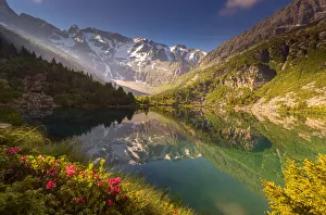 Adamello Park Gallery: Aviolo lake in Adamello park, province of Brescia, Italy
