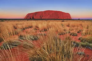 Images Dated 2nd March 2021: Ayers Rock at dusk - Australia, Northern Territory, Uluru-Kata-Tjuta National Park