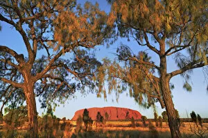 Northern Territory Gallery: Ayers Rock at sunset - Australia, Northern Territory, Uluru-Kata-Tjuta National Park