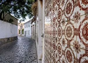 Ornamental Collection: Azulejos on the street of Faro, Algarve, Portugal
